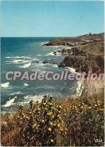 Cartes postales moderne La Cote Catalane Argeles sur Mer Les rochers du Racou