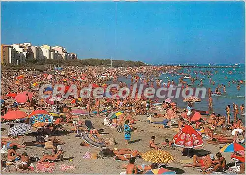 Cartes postales moderne Le Littoral Languedocien Le Cap D'Agde La Plages