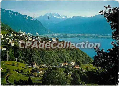 Cartes postales moderne Gilon sur Montreux (Lac Leman) Au 1er plan Sonzier et vue sur les Dents du Midi