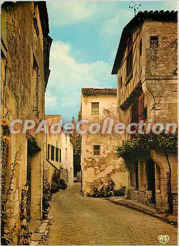 Cartes postales moderne Ile de Re Saint Martin (Chte Mme) Vieilles maisons