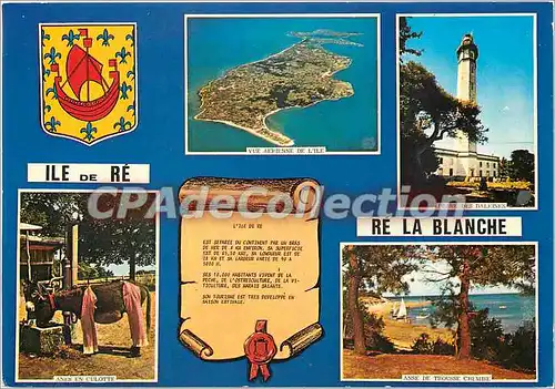 Cartes postales moderne Ile de Re (Ch Mme)