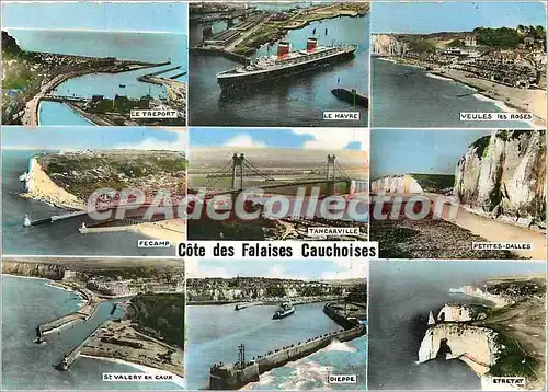 Cartes postales moderne Cote des Falaises Cauchoise (Seine Maritime)