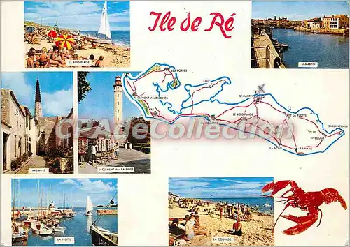 Cartes postales moderne Ile de Re