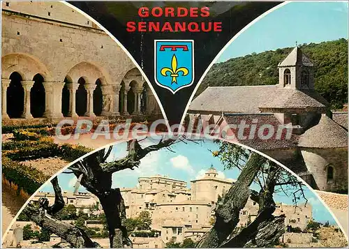 Cartes postales moderne Les Belles Images de Provence Gordes et l'abbaye de Senanque