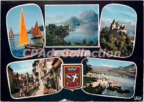 Cartes postales moderne Annecy Voiliers sur le Lac