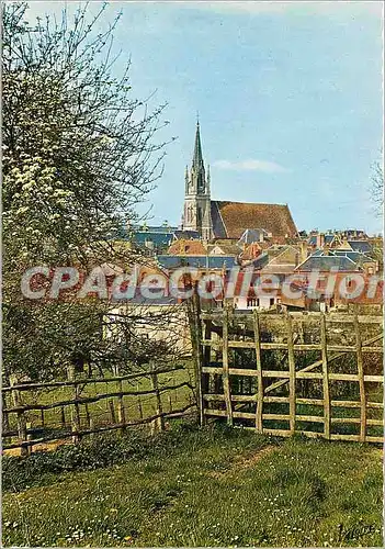 Moderne Karte Mondoubleau (Loir et Cher) La petite ville et son eglise vues des Vergers