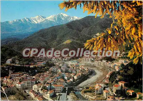 Cartes postales moderne Lumiere et Couleurs du Vallespir Amelie les Bains