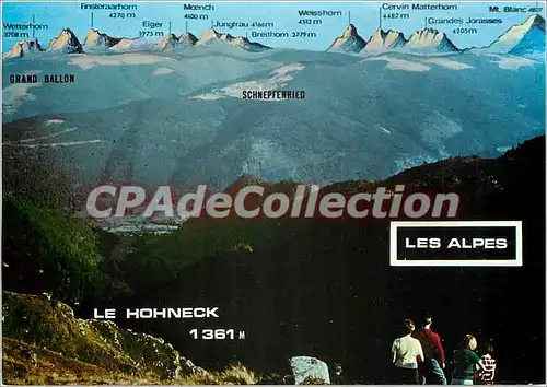 Cartes postales moderne Les Hautes Vosges le Honneck (alt 1366 m) les alpes vues de l'Hotel du Honneck Bernez