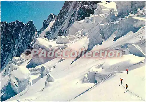 Cartes postales moderne Chamonix Mont Blanc (Hte Savoie) alt 1037 m Inonde de Soleil