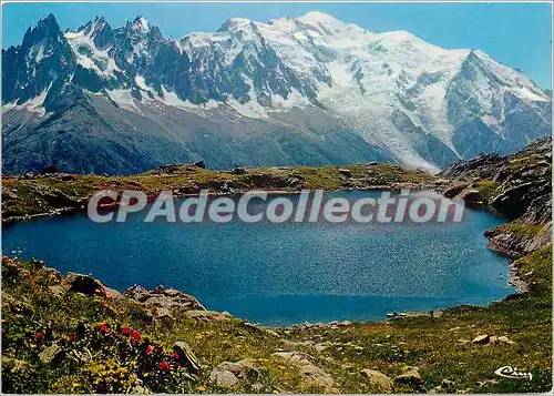 Cartes postales moderne Chamonix Mont Blanc (Hte Sav) alt 1037 m le lac des Cheserys le massif du Mont Blanc(4807 m)