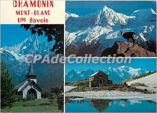 Cartes postales moderne Chamonix Mont Blanc (Hte Sav)