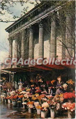 Cartes postales moderne paris le marche aux Fleurs Place de la Madeleine