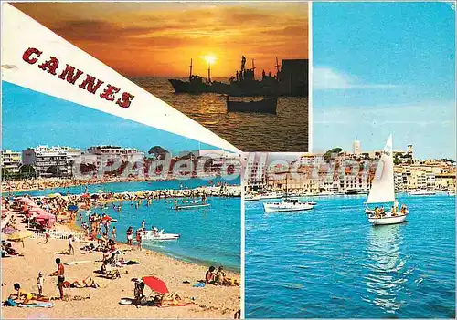 Cartes postales moderne Cannes Cote d'Azur