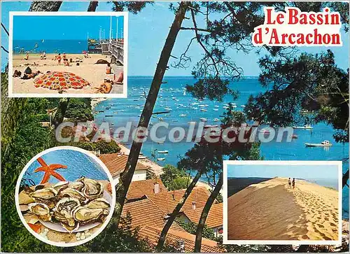 Cartes postales moderne Le Bassin d'Arcachon (Gironde)