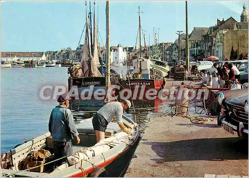 Cartes postales moderne Le Croisic (L Atl) Le Port