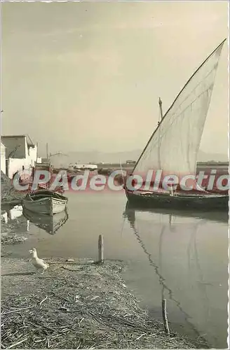 Cartes postales moderne Valencia et Palmar Canal de Albudera