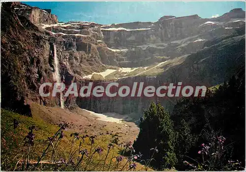 Cartes postales moderne Les Pyrenees Gavarnie (Hautes Pyrenees) Champ d'Iris et cirque de Gavarnie