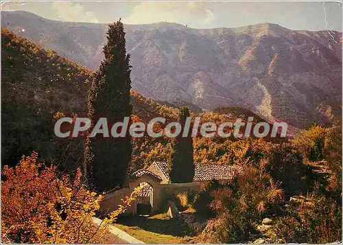 Cartes postales moderne Les Belles Couleurs de Provence Un coin pittoresque de Provence