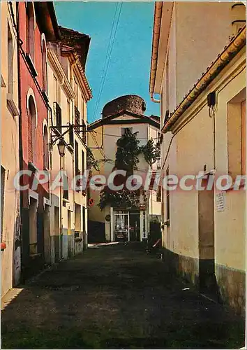 Cartes postales moderne Amelie les Bains (Alt 230 m) Perle des Pyrenees Palalda Rue generale de Gaulle dans le fond la