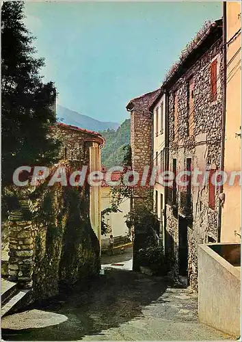 Cartes postales moderne Amelie les Bains (Alt 230 m) Perle des Pyrenees Palalda Carrer de l'Aire
