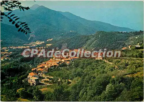 Cartes postales moderne Amelie les Bains (Alt 230 m) Perle des Pyrenees Palalda Vue de Soubreville