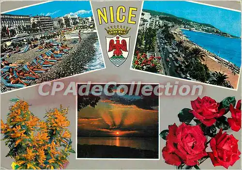 Cartes postales moderne La Cote d'Azur Nice