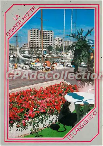 Cartes postales moderne Le Languedoc La Grande Motte Ville de l'An 2000 Un coin du Port de plaisance a l'arriere plan l