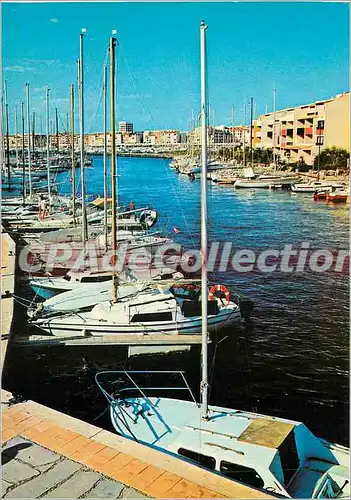 Cartes postales moderne Le Roussillon Amelie les Bains (alt 230 m) Perle des Pyrenees Palalda Rue generale de Gaule dan