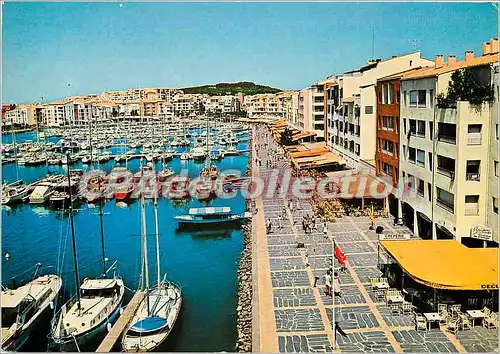 Cartes postales moderne Le Roussillon Amelie les Bains (alt 230 m) Perle des Pyrenees Palalda Rue generale de Gaule dan