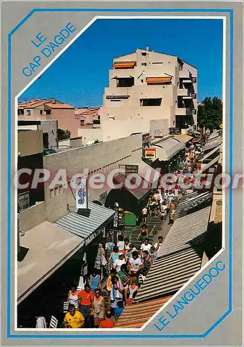 Cartes postales moderne Le Roussillon Amelie les Bains (alt 230 m) La Parle des Pyrenees Palalda l'Eglise  porte du XII