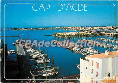 Cartes postales moderne Le Languedoc le Cap d'Agde le Port de plaisance