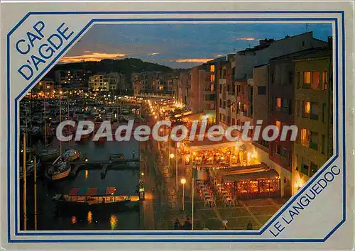 Cartes postales moderne Le Languedoc le Cap d'Agde le port la nuit