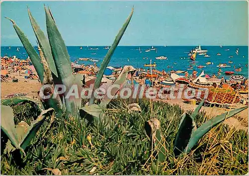 Cartes postales moderne Le Languedoc le Cap d'Agde Centre Naturiste Heliopolis la plage