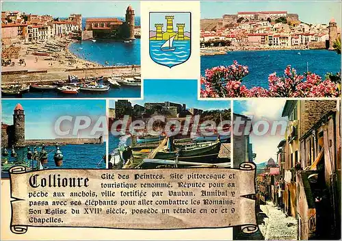 Cartes postales moderne La Cote Vermeille Collioure Le Port Vue d'ensemble le Port le chateau des Templiers