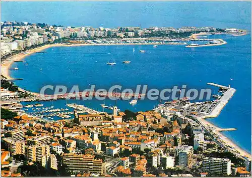 Cartes postales moderne Au soleil de la Cote d'Azur Cannes Le Suquet le Port