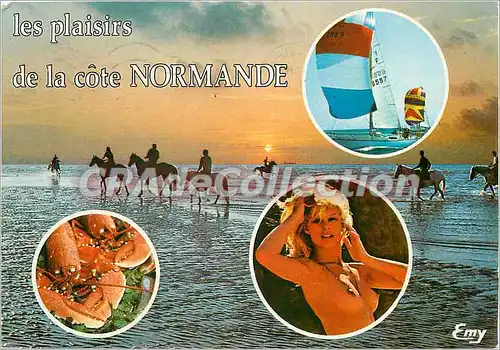 Cartes postales moderne La Normandie Pittoresque