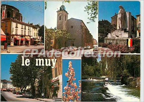 Cartes postales moderne Lumiere et Beaute de la Cote d'Azur Souvenir de Muy