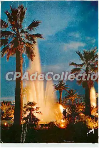 Cartes postales moderne Principaute de Monaco Monte Carlo Les Jardins Illumines