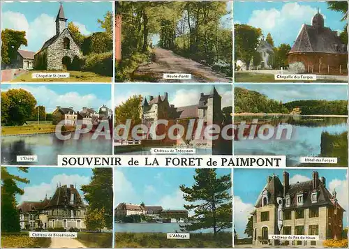 Cartes postales moderne Souvenir de la Foret de Paimpont