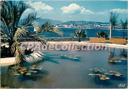 Cartes postales moderne Cannes Le nouveau jardin au fond la Croisette