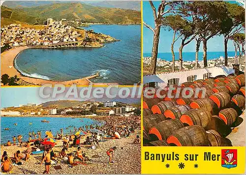 Cartes postales moderne Banyuls sur Mer (P O) Vue aerienne vue sur la Plage les Hauts lieux du Banyuls et vue sur la Vi