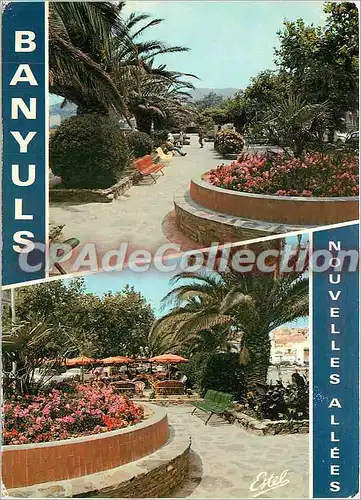 Cartes postales moderne Banyuls sur Mer (P O) Les nouvelles allees