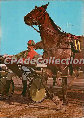 Cartes postales moderne Au Soleil de la Cote d'Azur Cagnes sur Mer Hippodrome cote d'Azur Preparatifs pour le depart