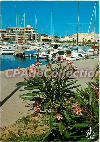 Cartes postales moderne Le Languedoc le Cap d'Agde Centre Naturiste