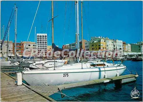 Cartes postales moderne Le Languedoc le Cap d'Agde le port de plaisance