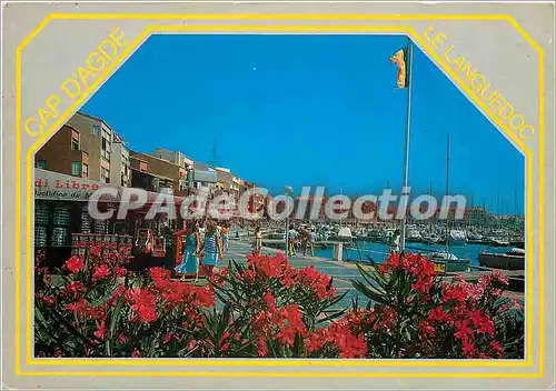 Cartes postales moderne Le Languedoc le Cap d'Agde Le Quai Richelieu