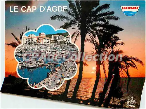 Cartes postales moderne Le Cap d'Agde (Herault) Le Port