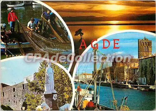 Cartes postales moderne Agde Scene de peche aux quais de la marine