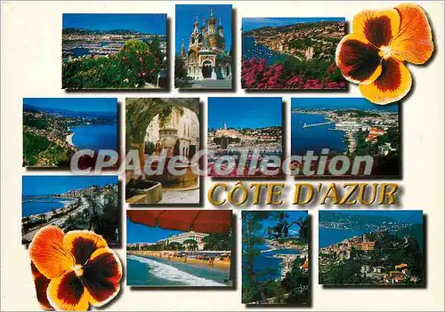 Cartes postales moderne La Cote d'Azur