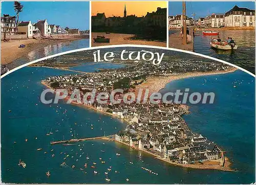 Cartes postales moderne Ile Tudy (Finistere) La Plage et le Port